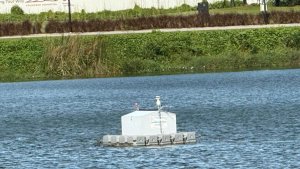 Water quality5