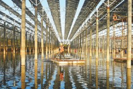 Case-Floating Solar