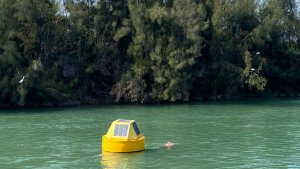 Buoy