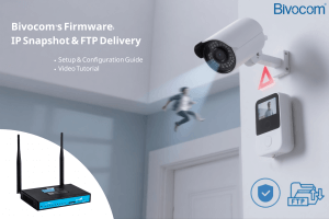 Firmware: IP Snapshot & FTP Delivery