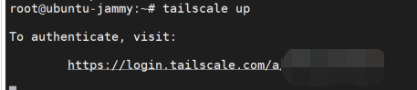 Tailscale on Bivocom Gateways 4.1